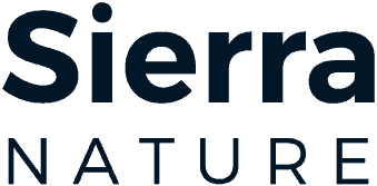 stein.com.ar